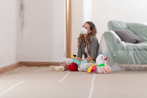 Reliable Mold Remediation contractor in Closter, NJ by 24 Hour Mold Removal